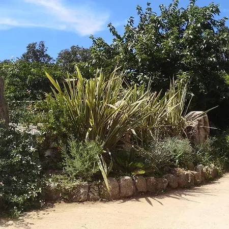 Griseor 维琪奥港