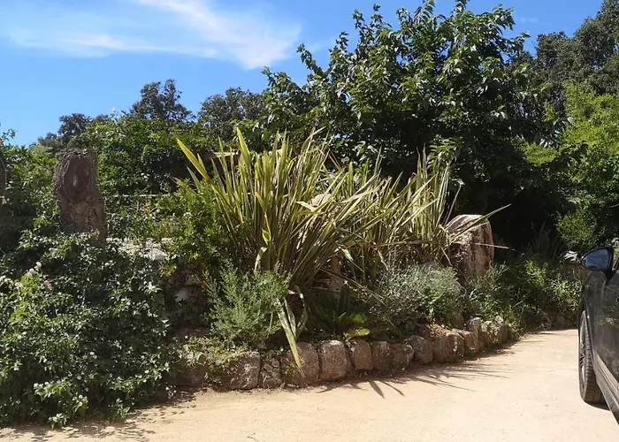 Griseor Porto-Vecchio (Corsica)