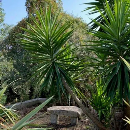 Villa Griseor Porto-Vecchio (Corsica)
