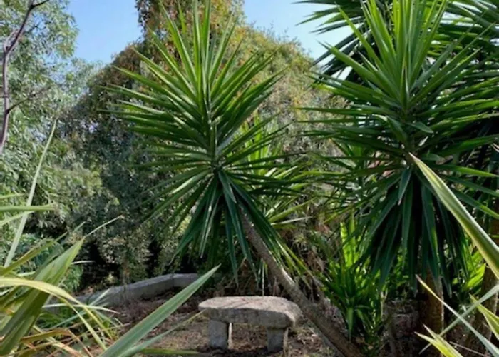 Βίλα Griseor Πόρτο Βέκιο